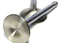 Stainless Valves