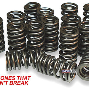 APE Valve Springs 47